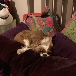 Meet your Posher, Samantha